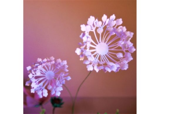 Aphrodite Paper Flower Templates